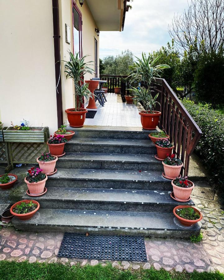 B&B Villa Dei Fiori SantʼEufemia Lamezia Exterior foto