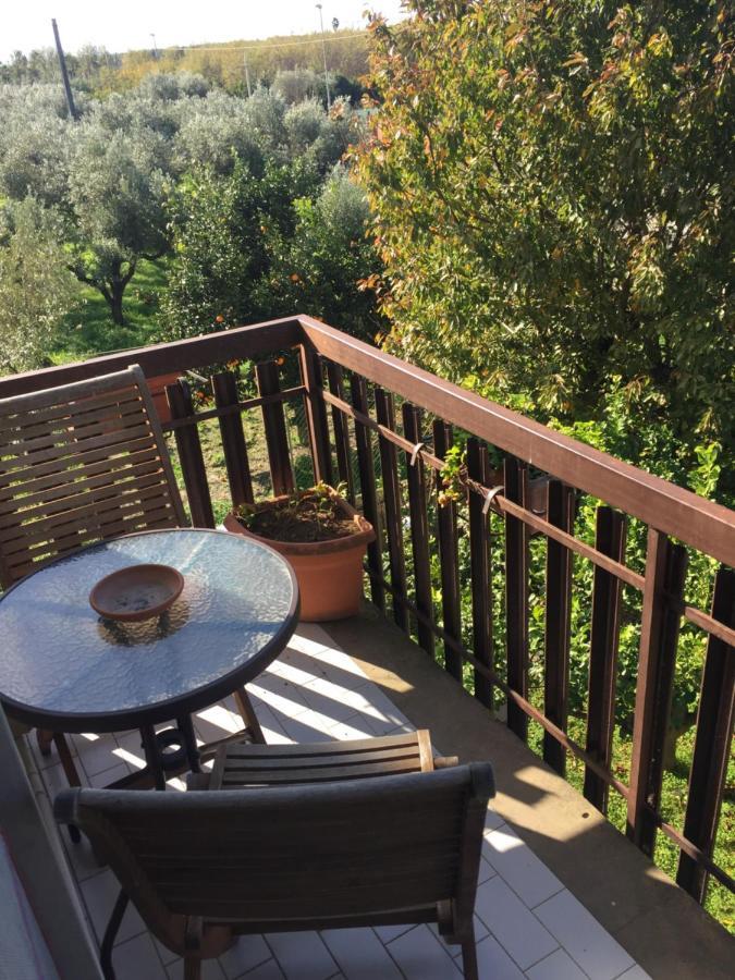 B&B Villa Dei Fiori SantʼEufemia Lamezia Exterior foto
